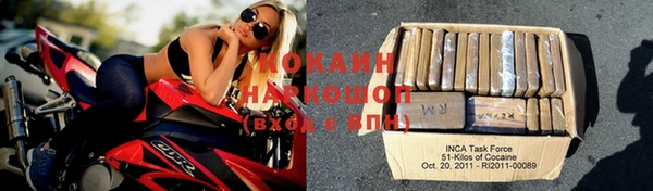 прущие грибы Костерёво