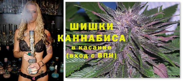 прущие грибы Костерёво
