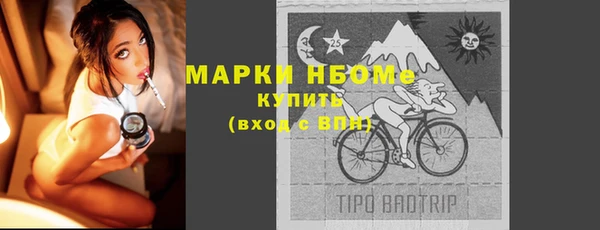прущие грибы Костерёво