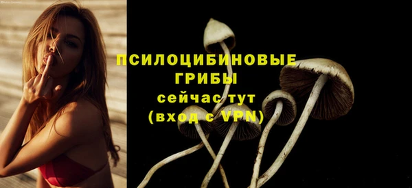 бошки Коряжма