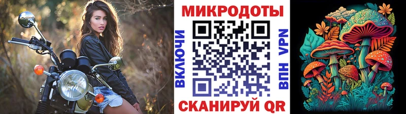 Псилоцибиновые грибы мицелий  цены наркотик  Новосокольники 